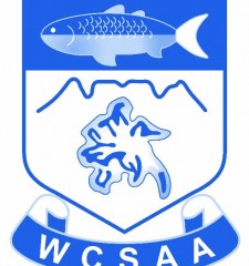 WCSAA
